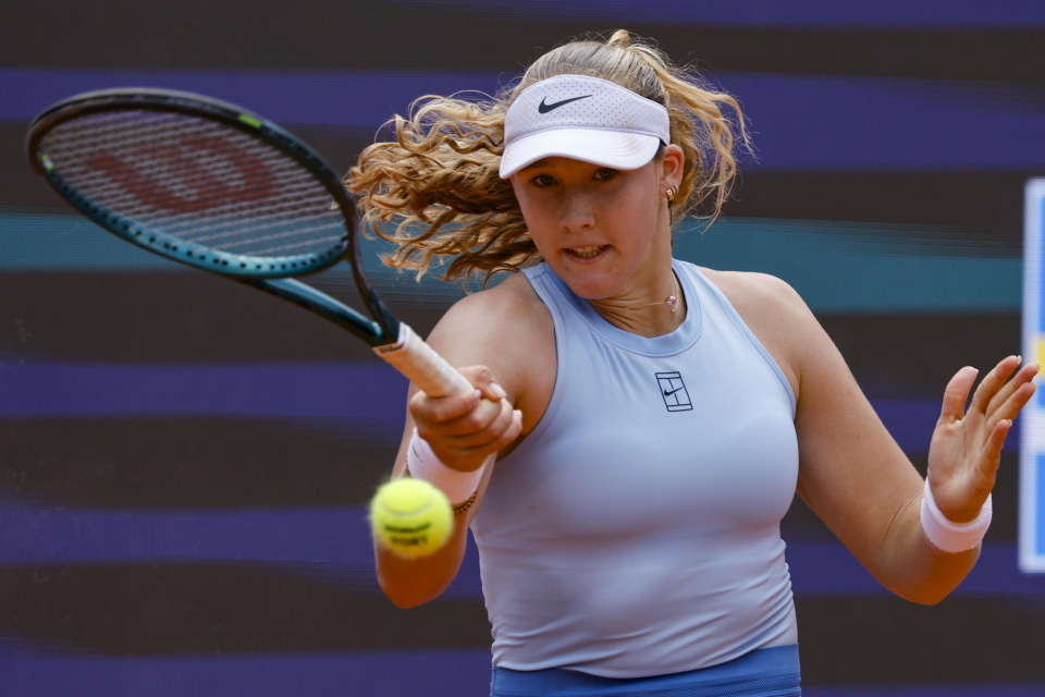 慧与努力的 慧与努力的